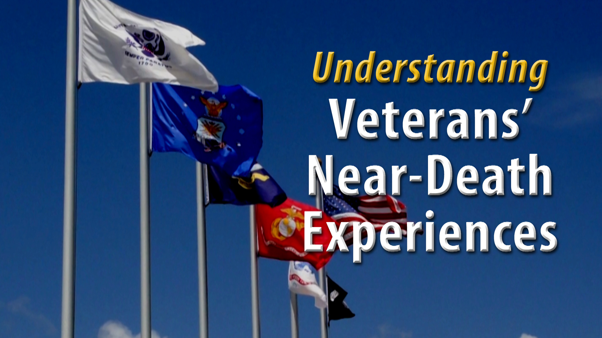 Vet Video Title Page