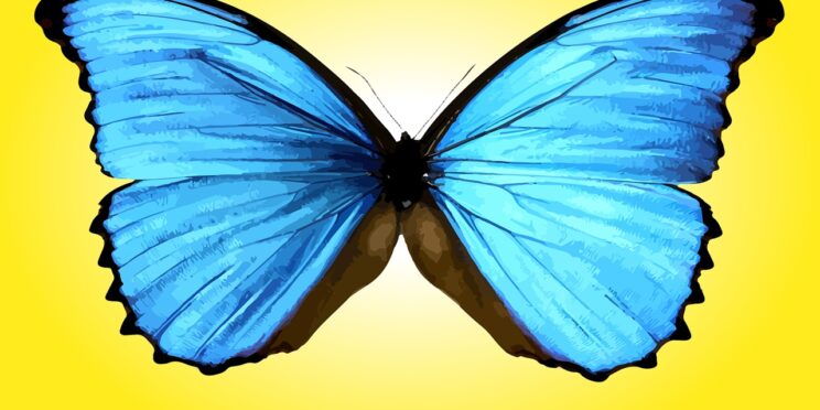 The Chrysalis Campaign is an ambitious project to bring the field of near-death studies into the mainstream.
