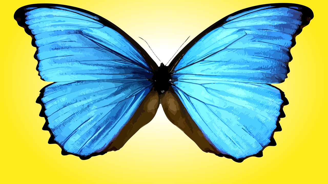 The chrysalis campaign is an ambitious project to bring the field of near-death studies into the mainstream.