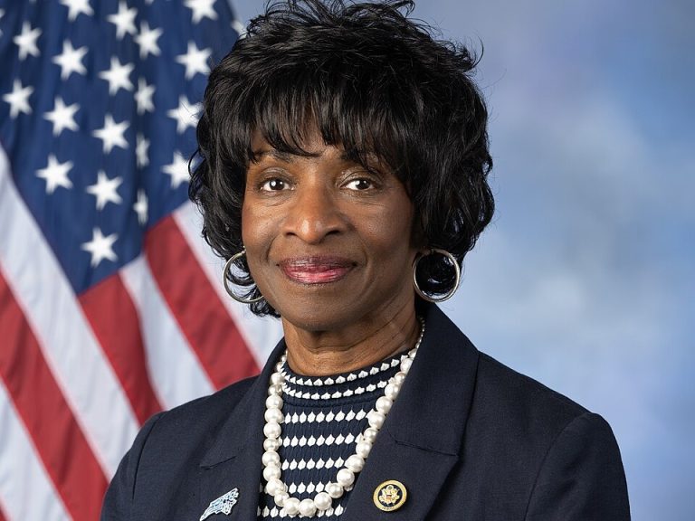 Portrait of an african american woman official wearing a navy blazer, pearl necklace, and pin, with the u. S. Flag in the background.